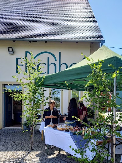 Fisch Witte